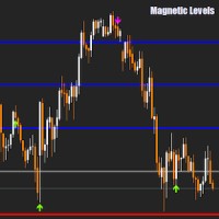 Magnetic Levels