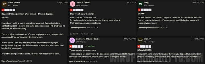 VideForex customer reviews