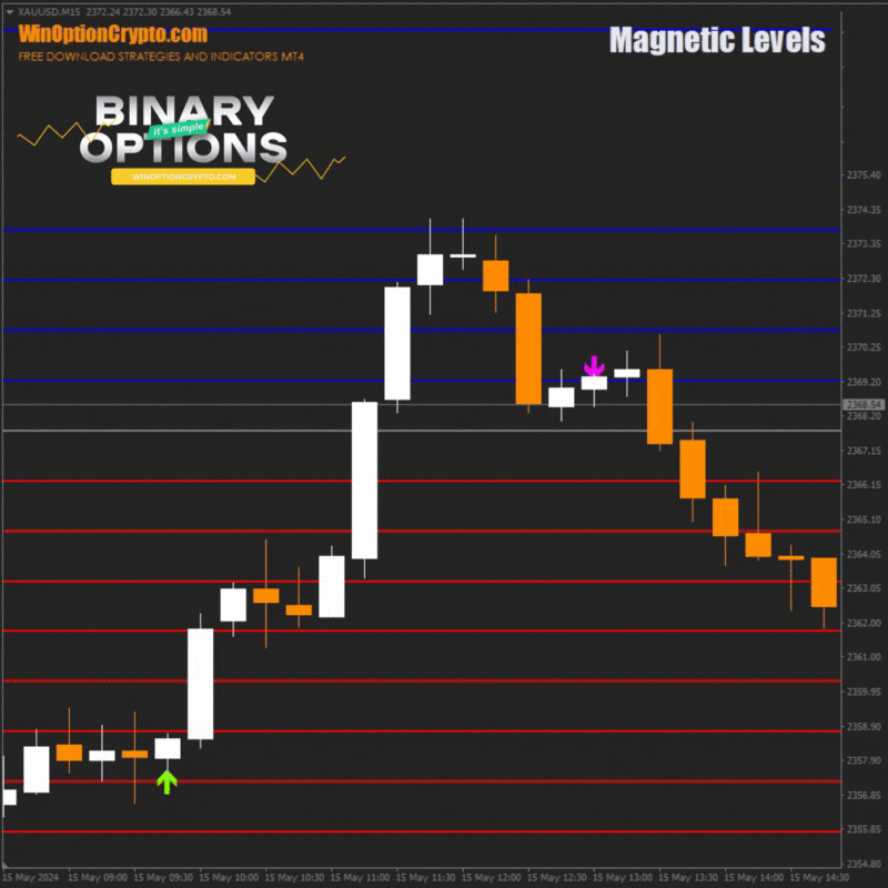 открытие опциона put с индикатором magnetic levels
