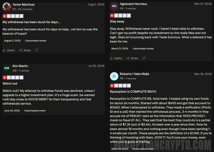 Online reviews of RaceOption