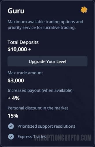 guru profile level