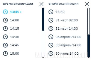 Binarium expiration date